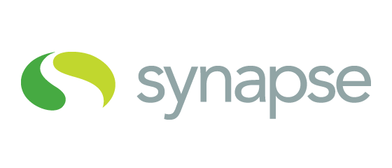 synapse